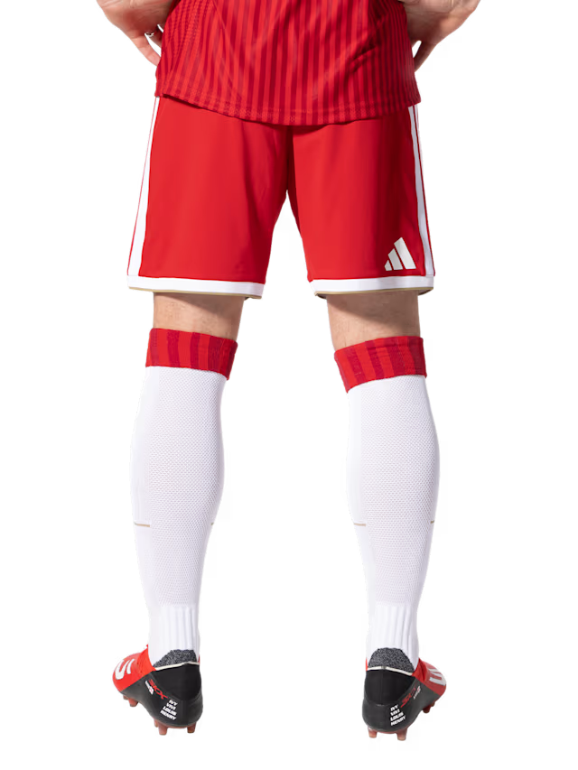 Flamengo Shorts 26/27