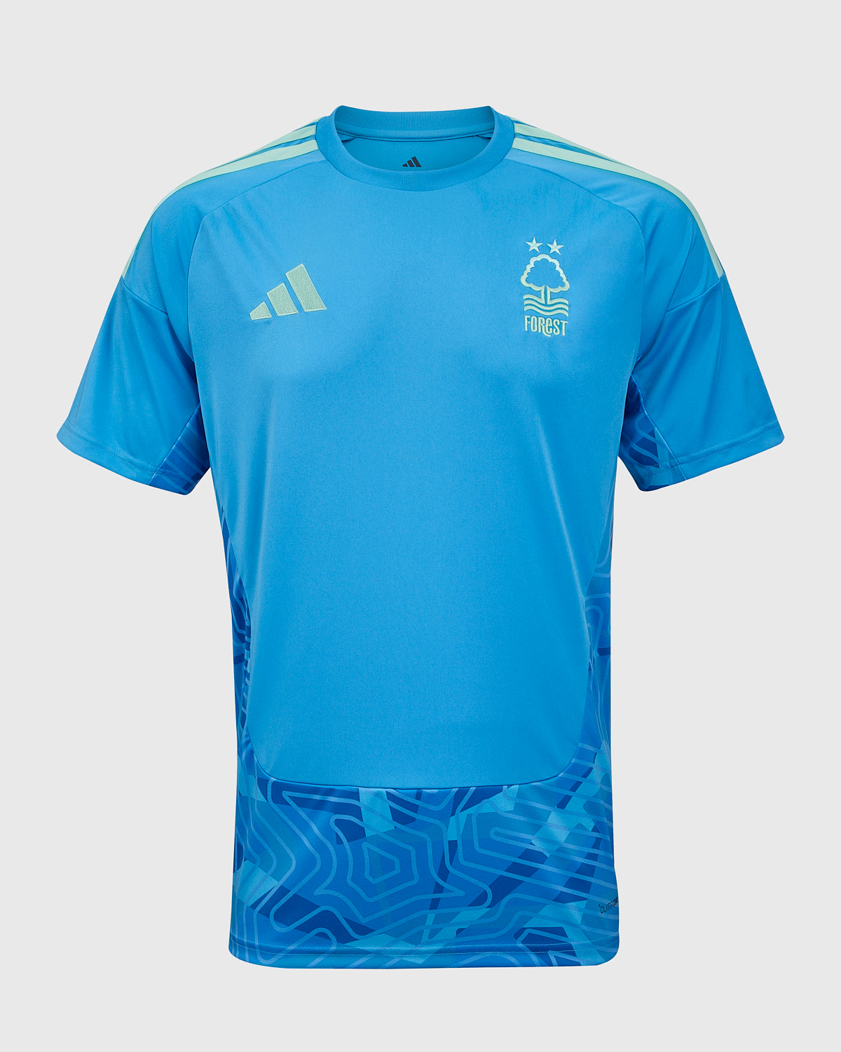 Jersey Nottingham Forest Goalkeeper Blue Home 26/27
