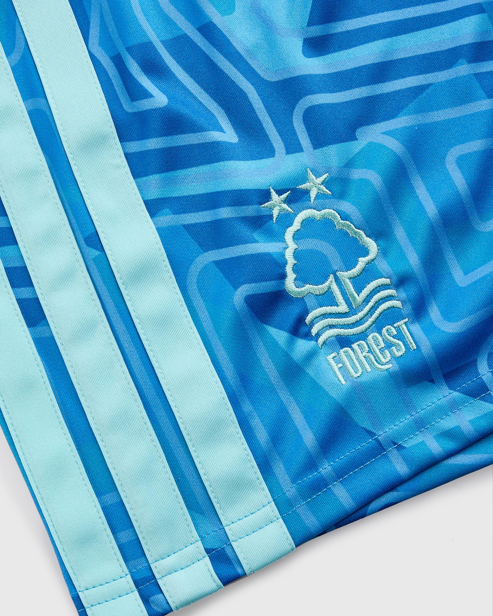 Nottingham Forest Shorts Goalkeeper Blue 26/27
