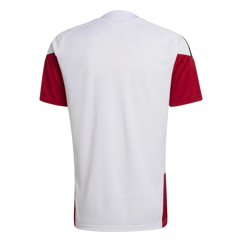 Trikot Alemanha 2026 Training WorldCup