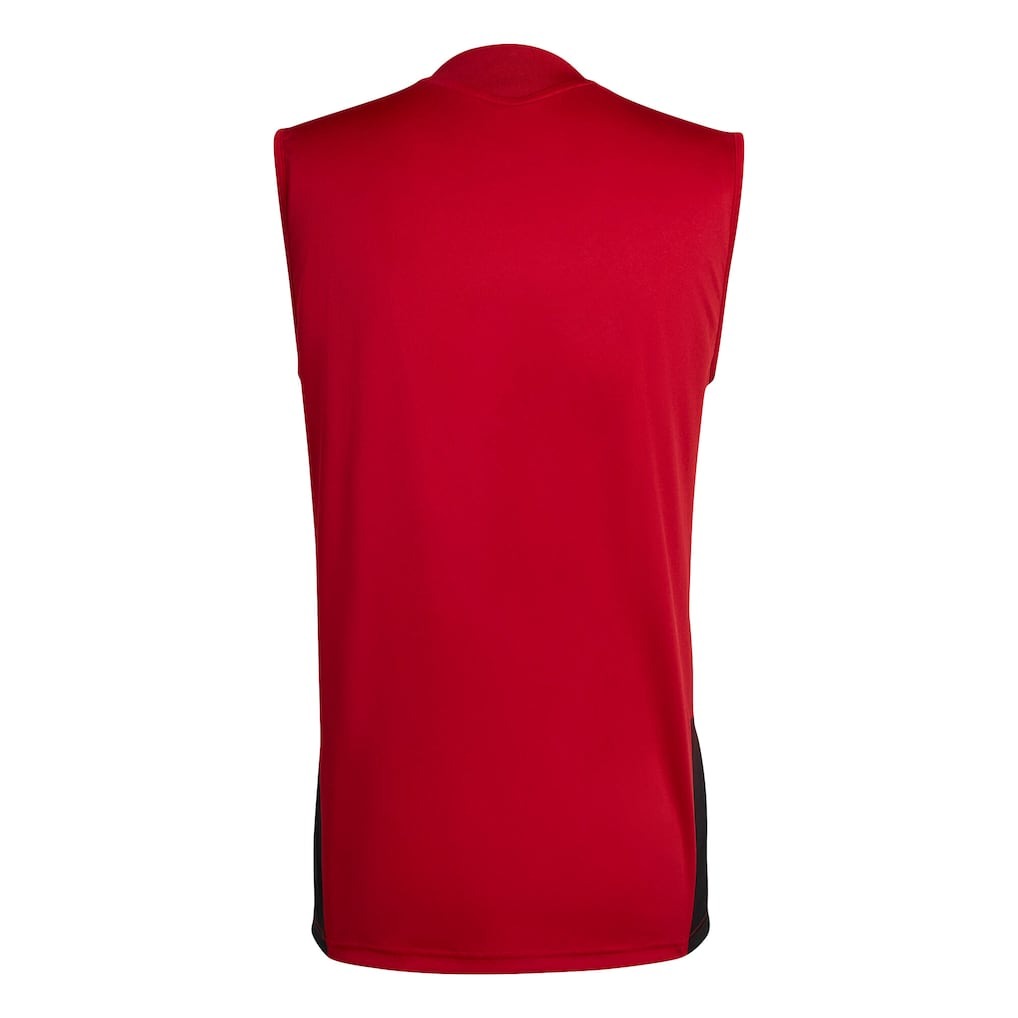 Trikot Alemanha 2026 Training WorldCup