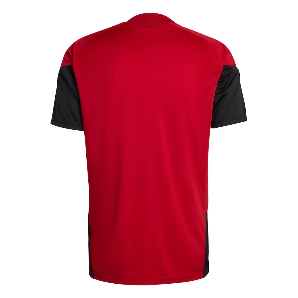 Trikot Alemanha 2026 Training WorldCup