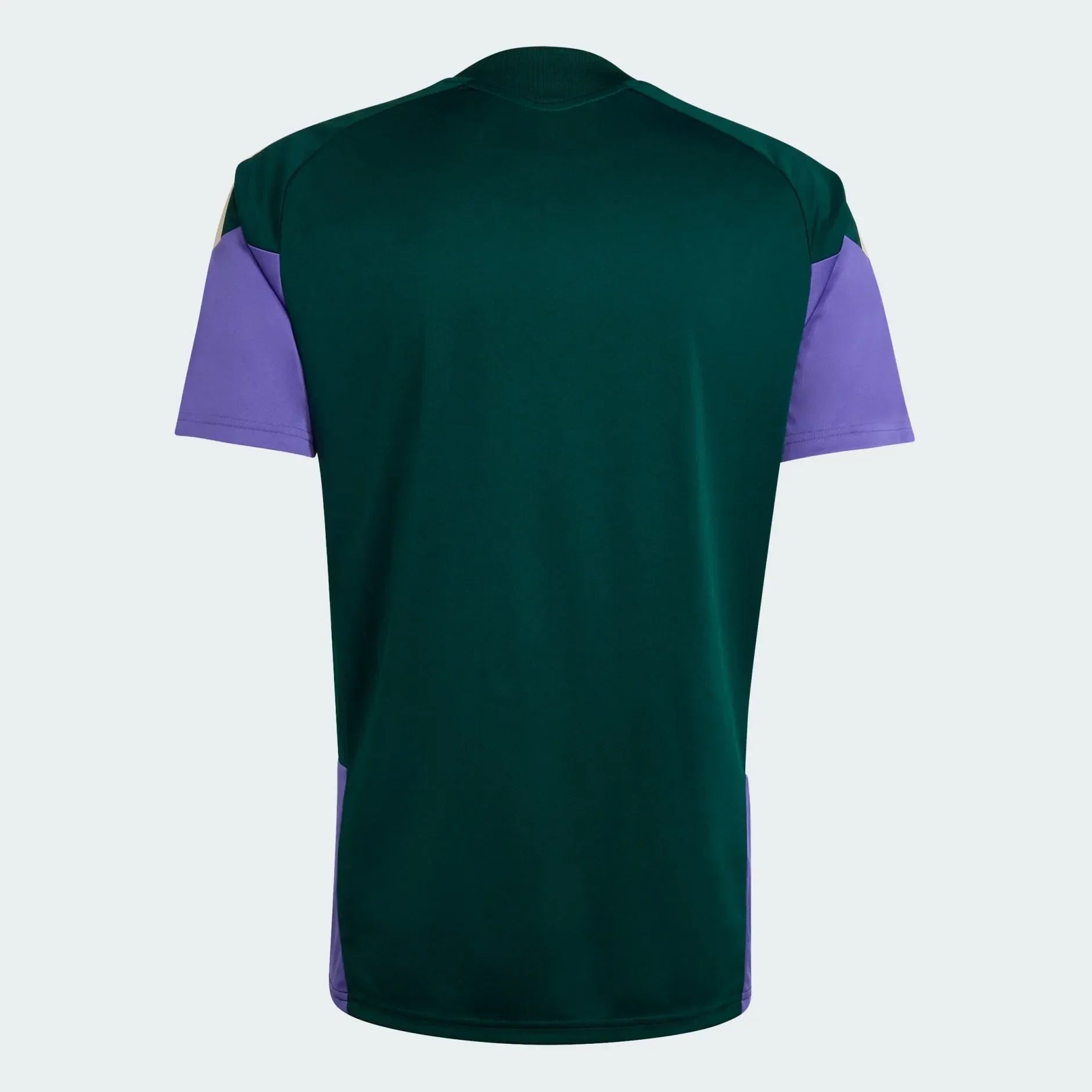 Trikot Saudi-Arabien 2026 Training WorldCup