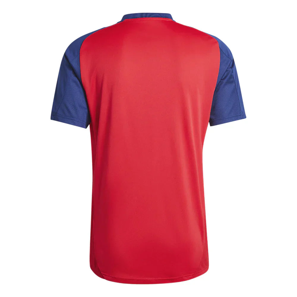 Jersey Spanien Training 2025