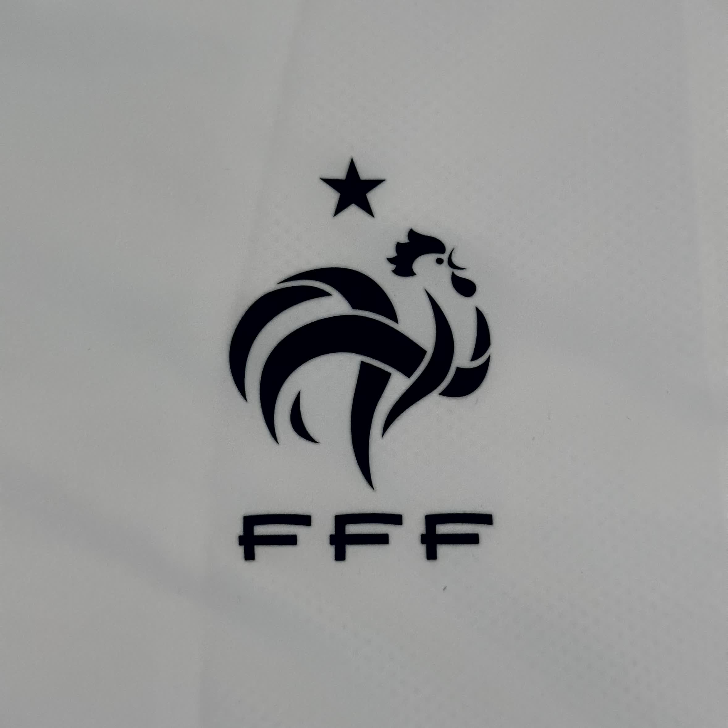 Nike x Frankreich Vintage-Jacke 2010
