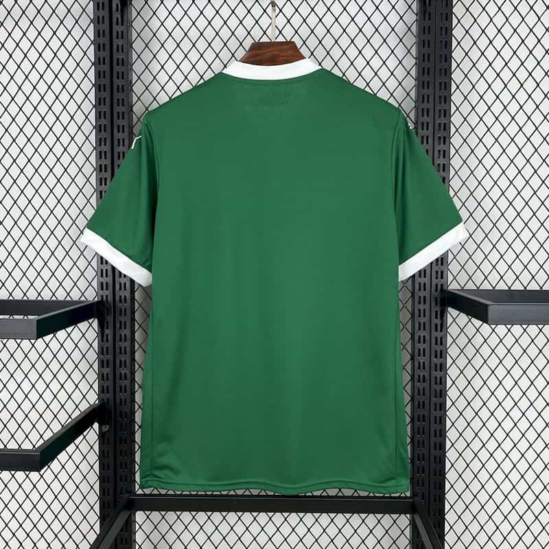 Palmeiras 2025∕26 Heimtrikot (F1E3)