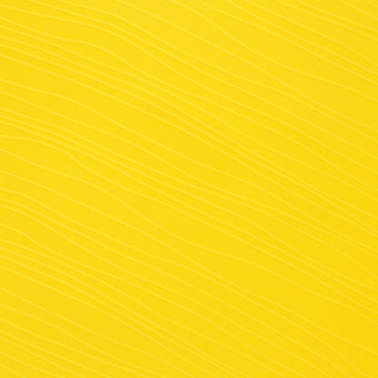 Jersey Ecuador Home Long Sleeve World Cup 2026