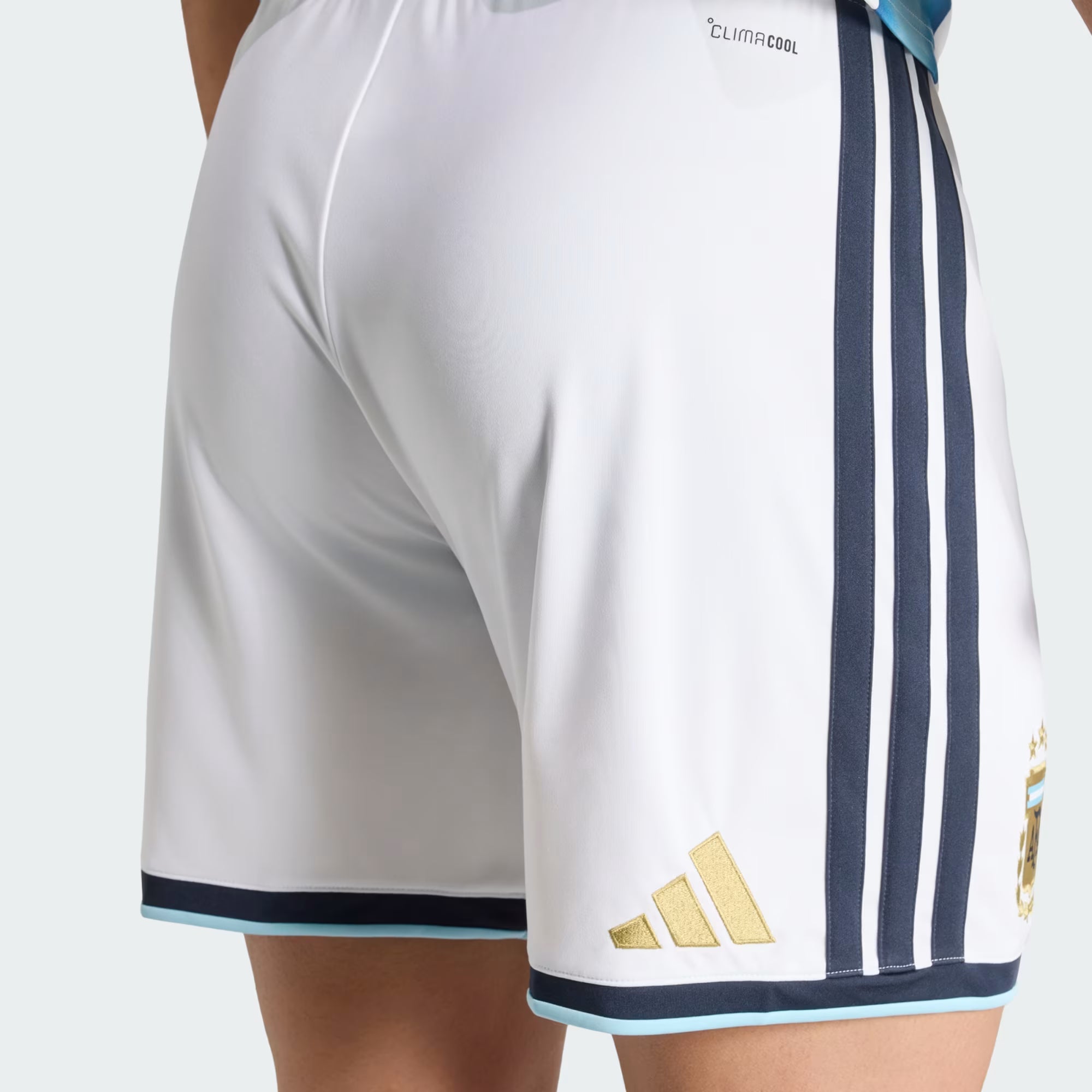 Kurzauftritt Argentiniens bei der Heim-Weltmeisterschaft 2026 