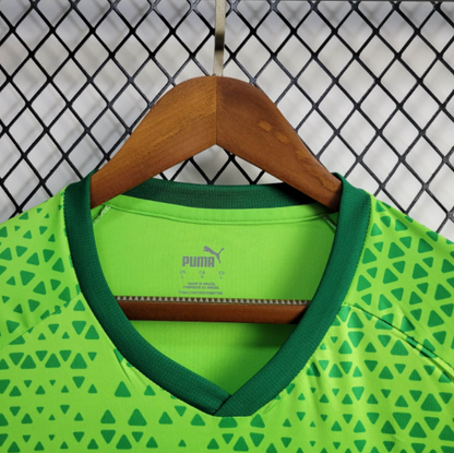 Trikot 24∕25 Palmeiras Treino 