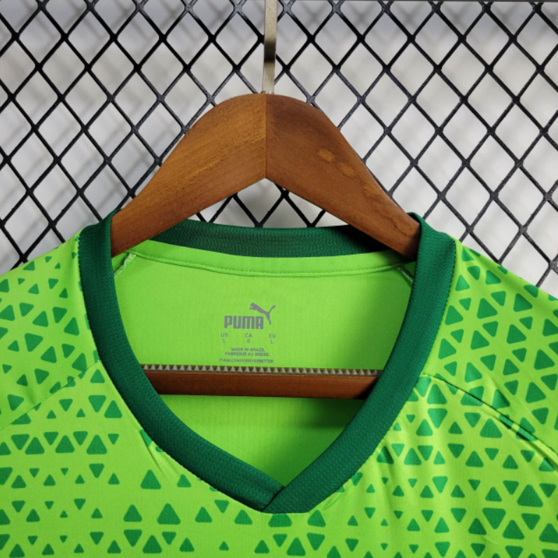 Trikot 24∕25 Palmeiras Treino 
