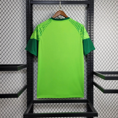Trikot 24∕25 Palmeiras Treino 