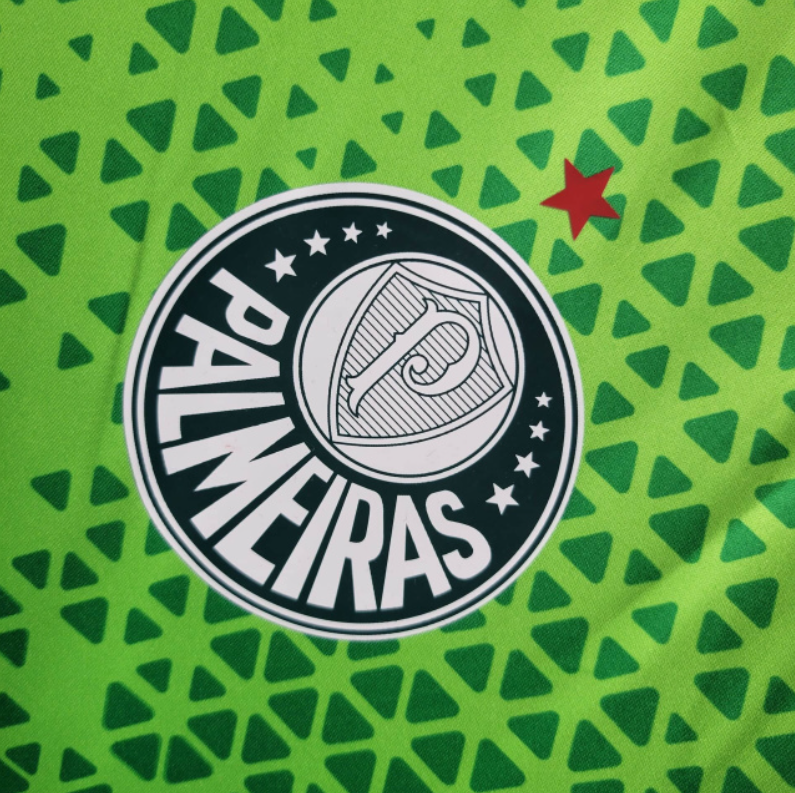 Jersey 24∕25 Palmeiras Treino