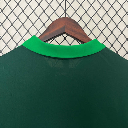 Trikot 24∕25 Polo Palmeiras grün 
