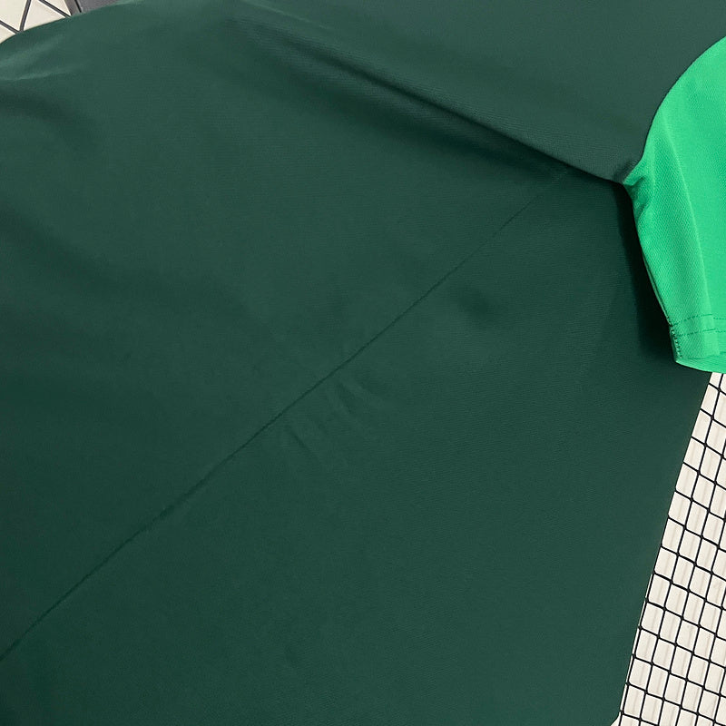 Trikot 24∕25 Polo Palmeiras grün 