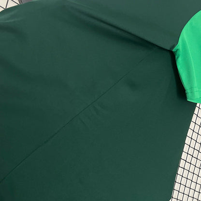 Trikot 24∕25 Polo Palmeiras grün 
