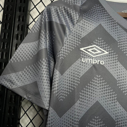 Trikot 24∕25 Santos Treino Cinza 