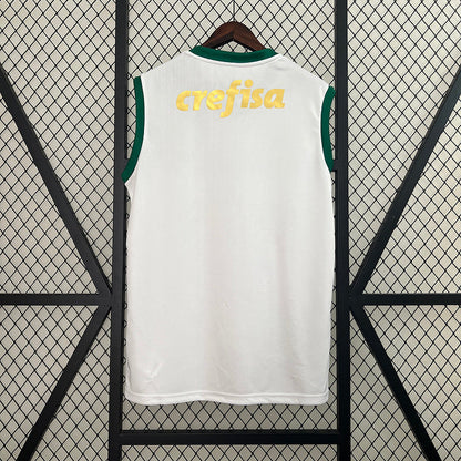 Trikot 24∕25 Vest Palmeiras auswärts 