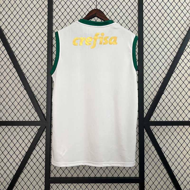 Trikot 24∕25 Vest Palmeiras auswärts 