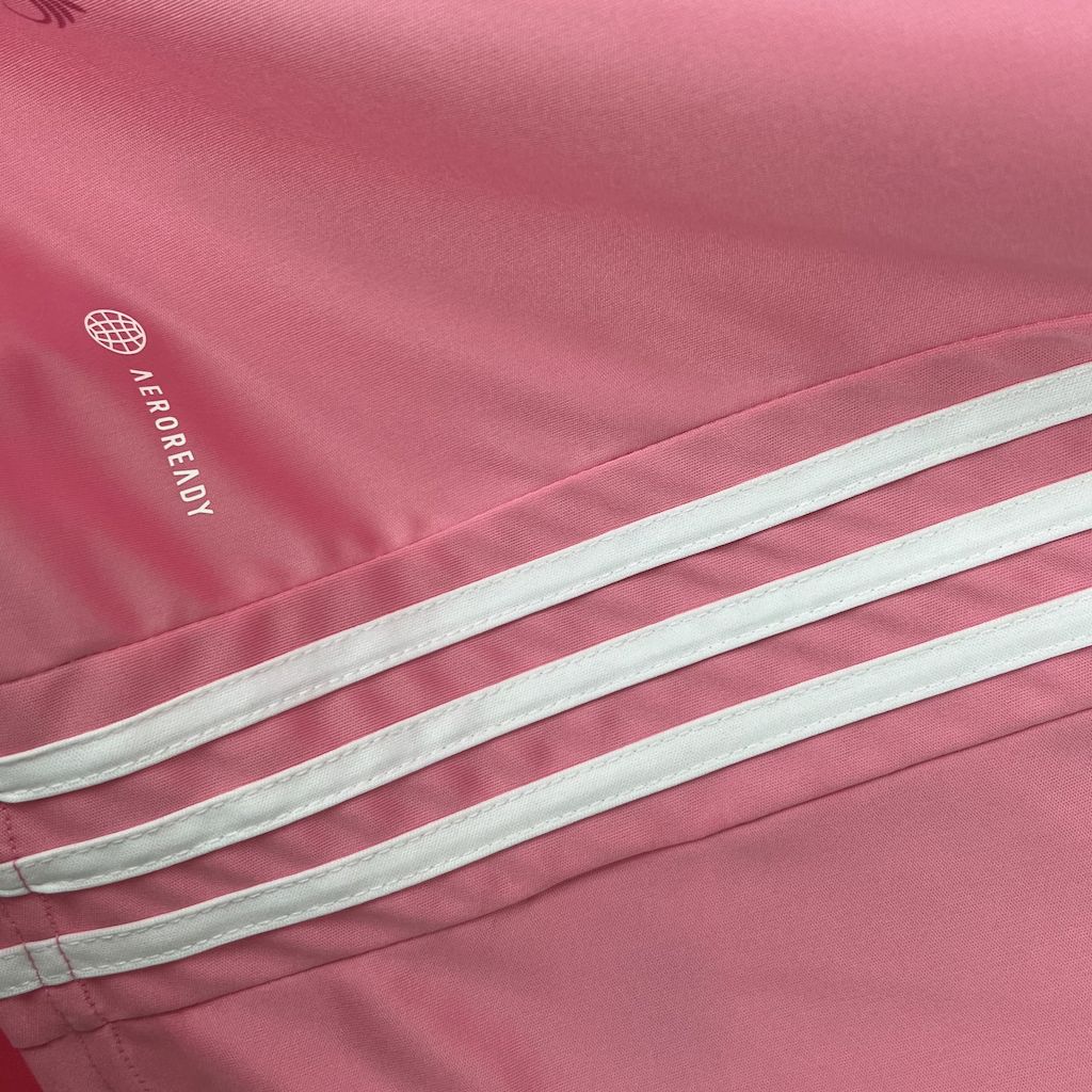 Jersey Aleria 24/25 - Pink 
