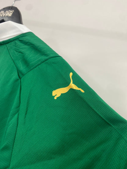Trikot do Palmeiras Home 24/25 s/n° Torcedor Masculino - Verde 