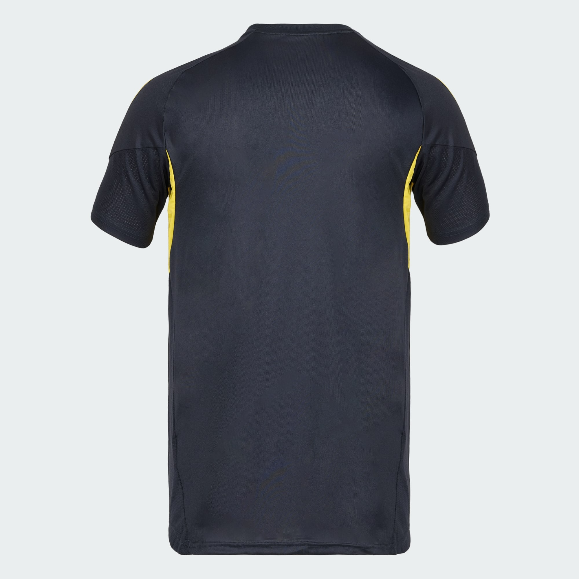 Trikot Fenerbahçe Training 25/26 