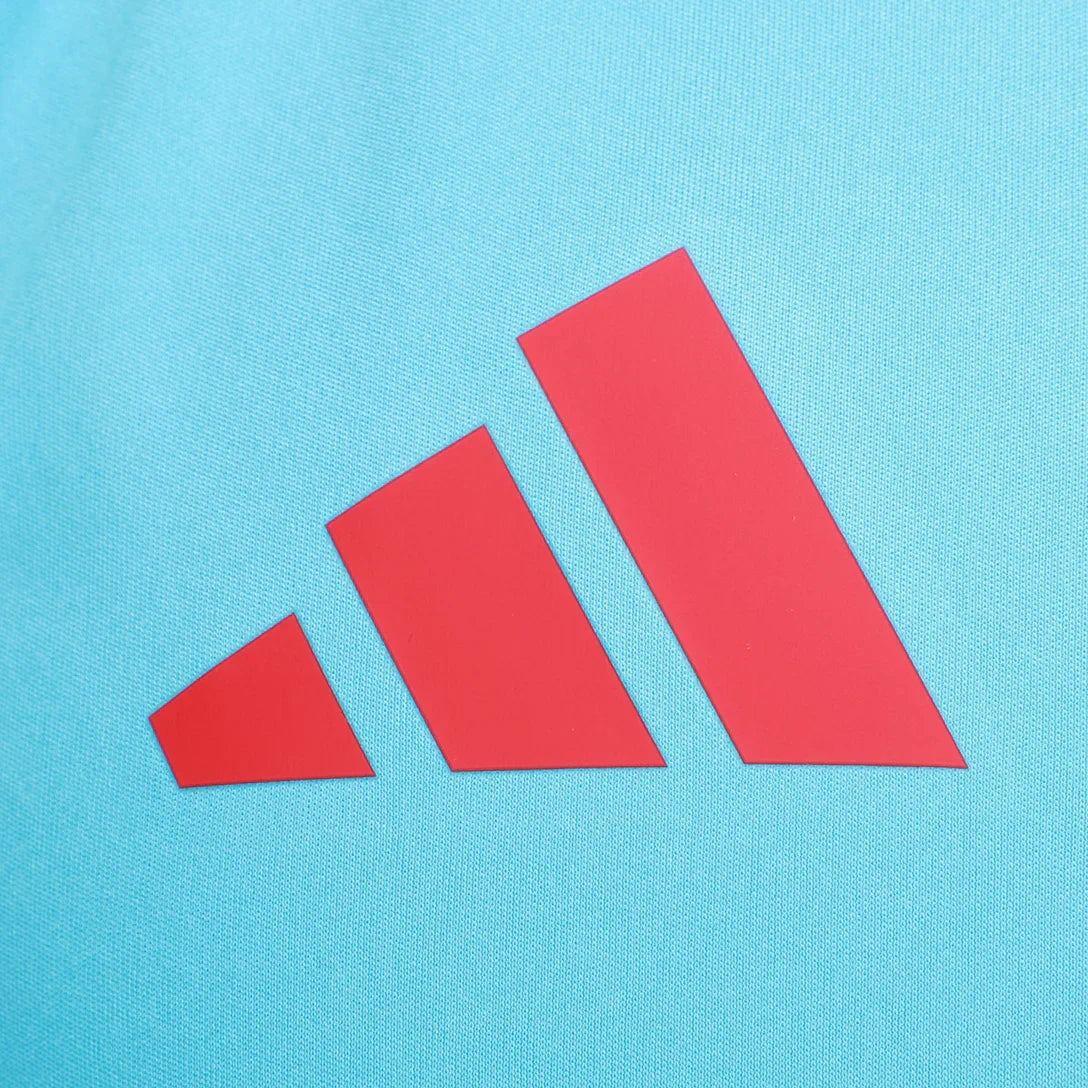 Trikot Flamengo Regata Treino 25/26 Azul e Vermelho 