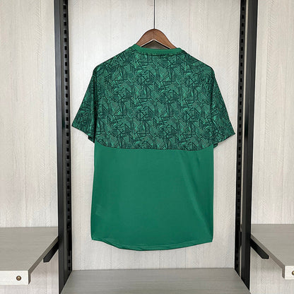 Trikot Fluminense 24/25 Treino Verde 