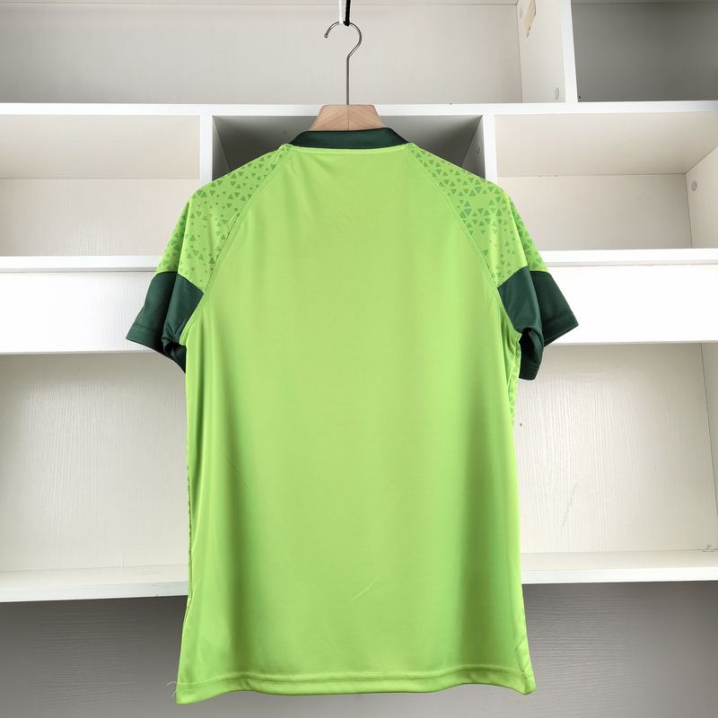 Trikot Palmeiras 24-25 Trainingsset 