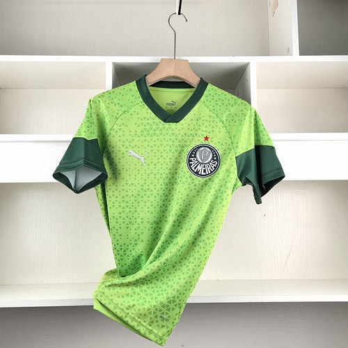 Trikot Palmeiras 24-25 Trainingsset 