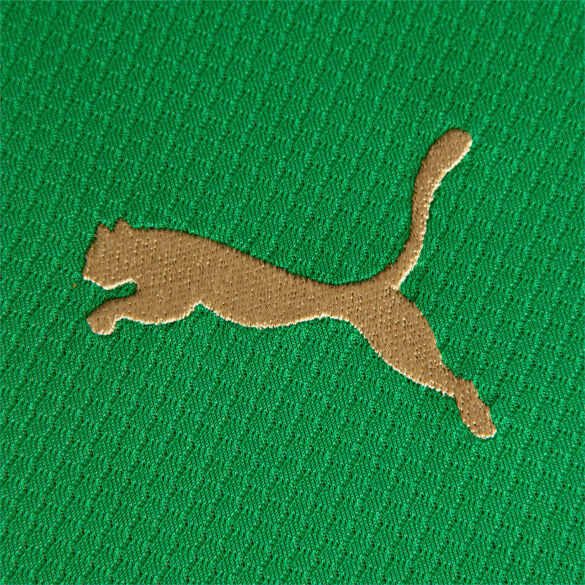 Trikot Palmeiras Edition Comemorativa 70 Jahre Puma - Grün 