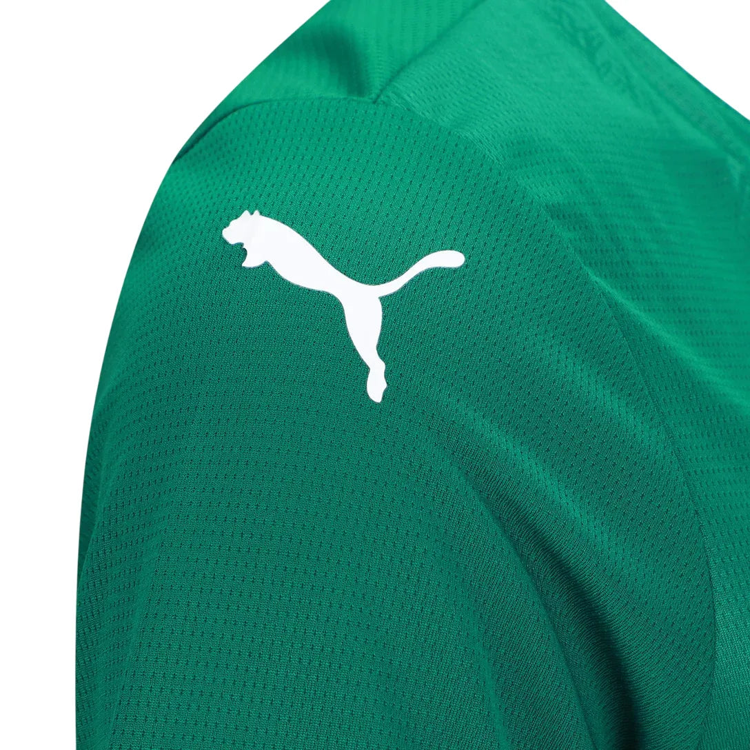Trikot Palmeiras Feminina Home 25/26 – Verde 