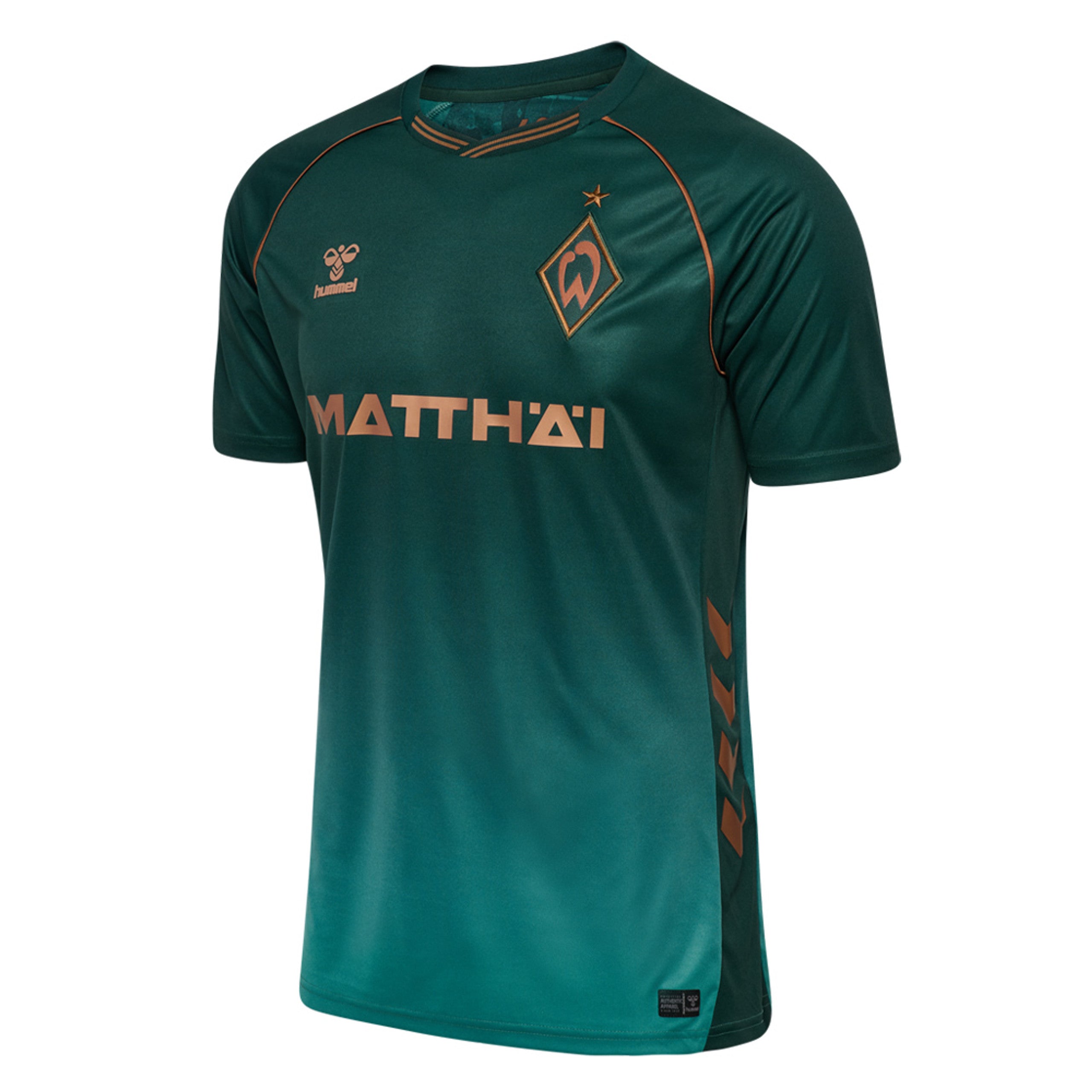 Jersey Werder Bremen 25/26 Dritte 