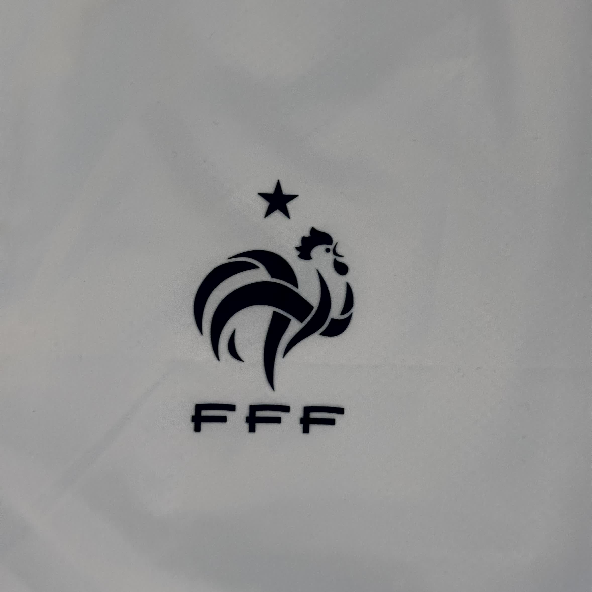 Nike x Frankreich Vintage-Jacke 2010 